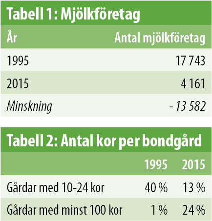 Tabeller mjölkföretag och kor per bonde