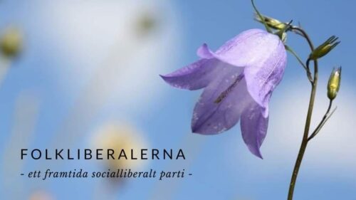 En blåklocka och texten Folkliberalerna - ett framtida socialliberalt parti