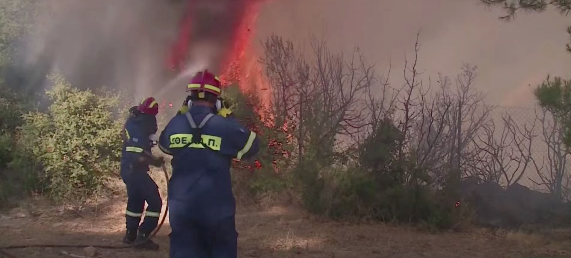 Brandmän släcker skogsbrand i Grekland